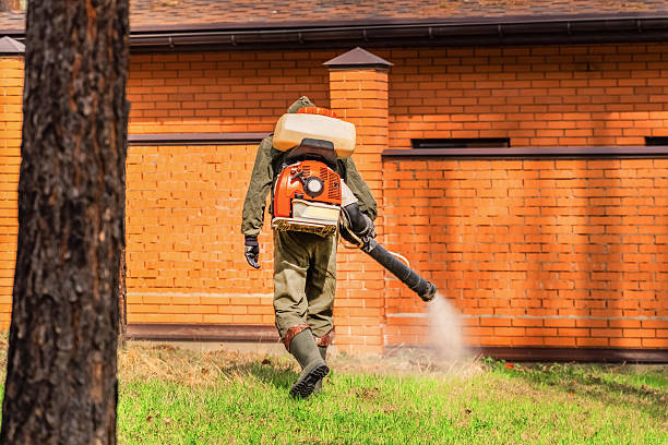 Trusted Termite Control service in Creston, IA - Nex Pest Control